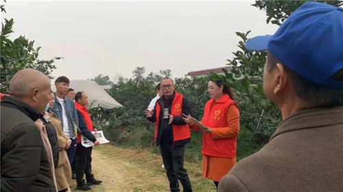 东坡区科协大力开展“志愿践行雷锋精神”志愿服务活动