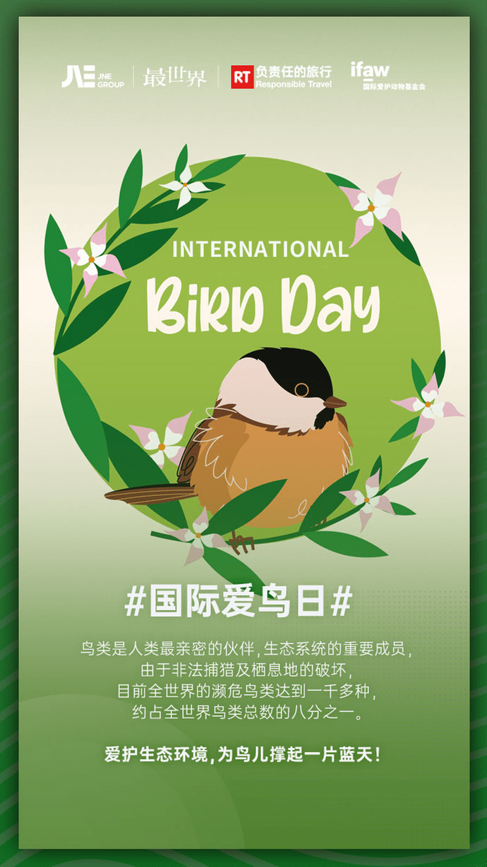 国际爱鸟日，最世界携手国际爱护动物基金会推出观鸟榜单 