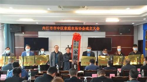 市中区家庭农场协会揭牌成立 743户家庭农场有了“娘家”