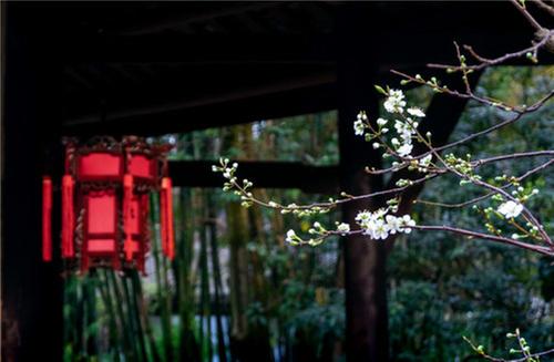 三苏祠里，寻春正当时