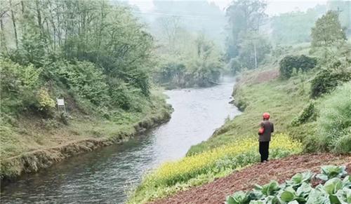 兴隆镇集中开展河道清理整治工作