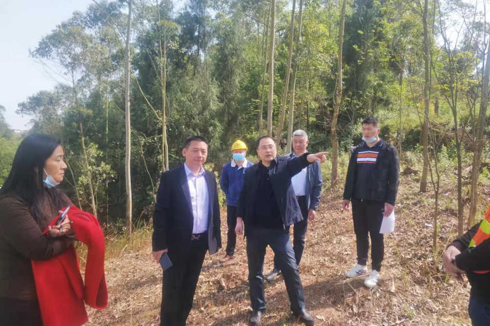 护安镇全力做好森林防灭火工作