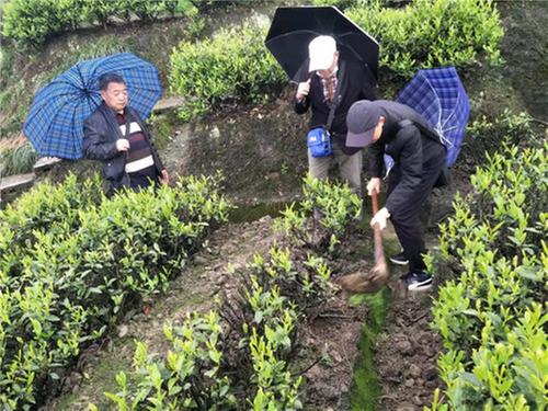 沙湾区科技工作者服务乡村振兴实打实