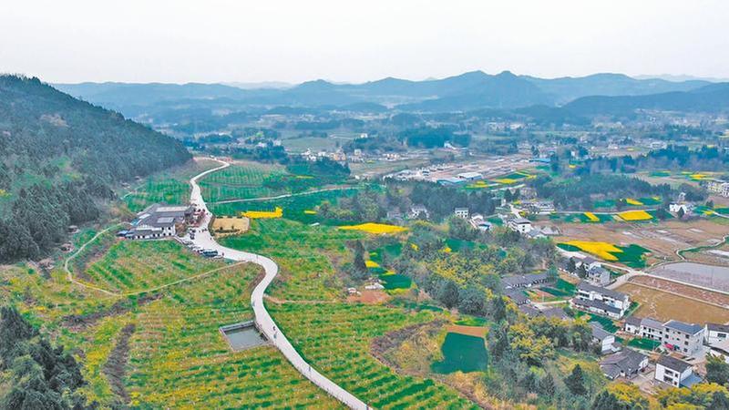 荒山变花海 看跳蹬河村如何一路跳跃一路歌