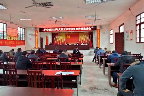 护安镇大力推进大豆玉米带状复合种植