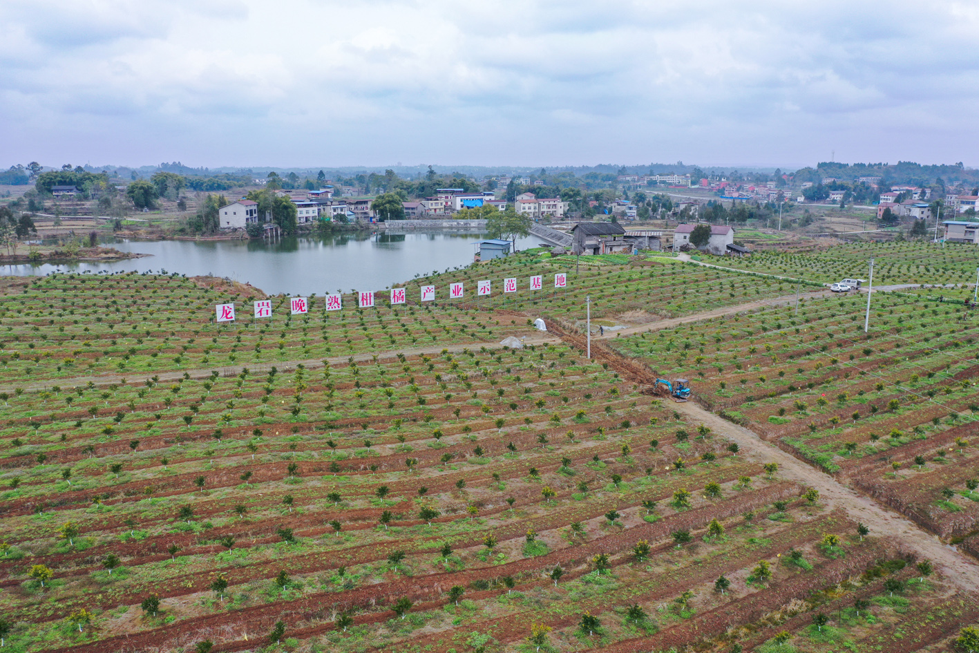 产业强  乡村美  民风淳
