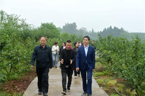 洪雅县：社区微基金助力乡村振兴