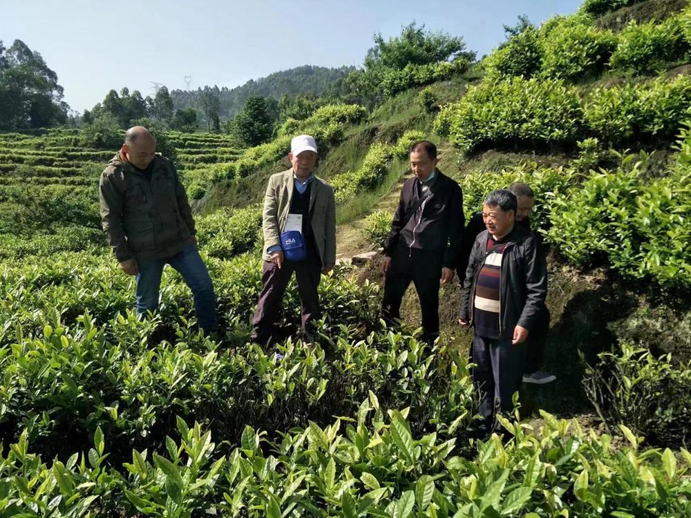 乐山市老科协工作获得市委书记肯定性批示