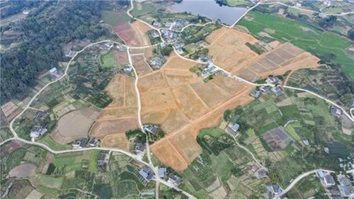 青神县：建设高标准农田 保障粮食安全