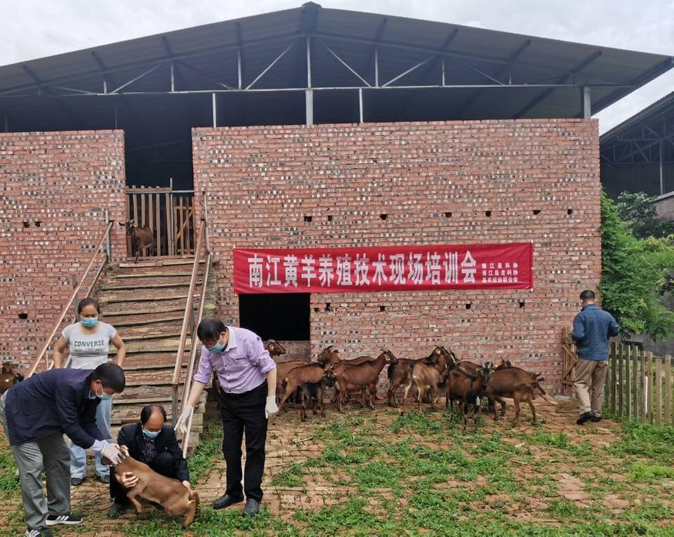  “你有需，我来帮” 南江县科协开展送科技下乡活动