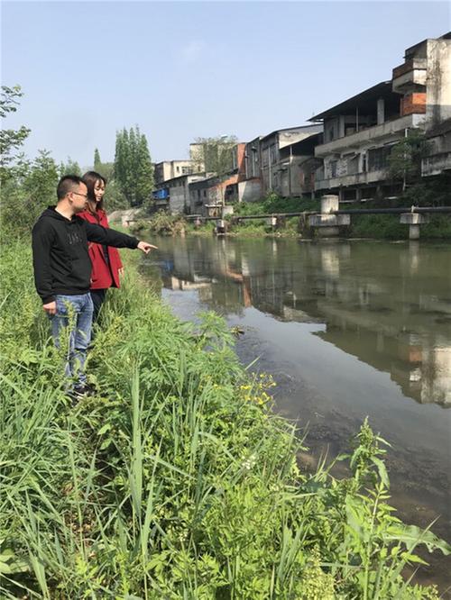 尚义镇：推行河长制  水岸生态美