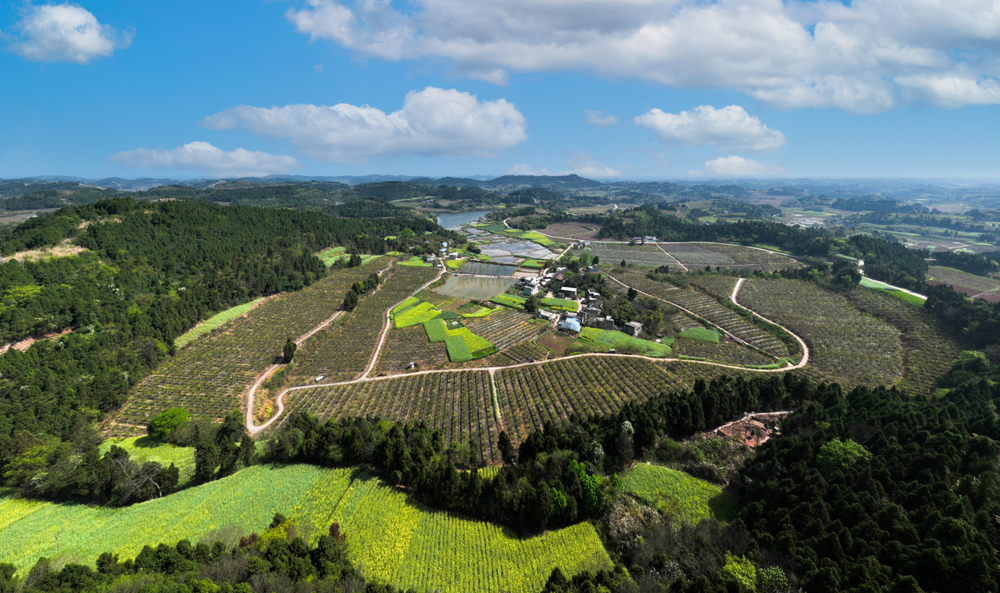 简阳市：推进政电融合 助力乡村振兴