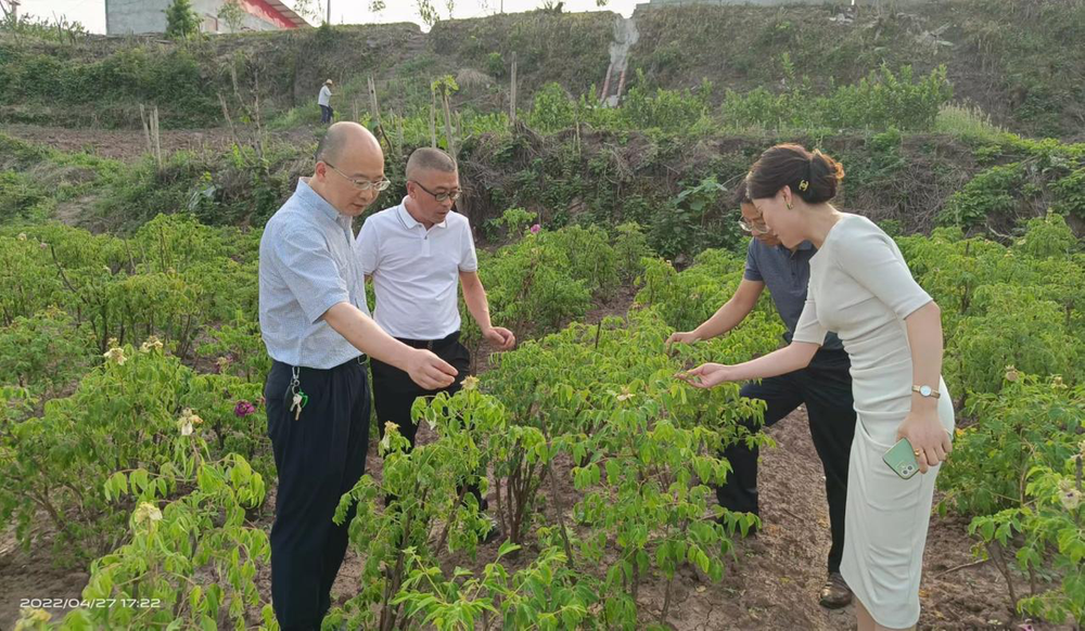 眉山市科协深入仁寿县调研农技协工作