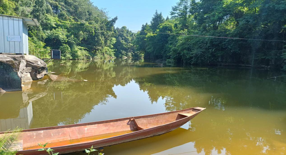 天池镇九义校开展校园周边安全大排查