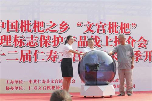 第二十二届仁寿文宫枇杷采摘季启幕