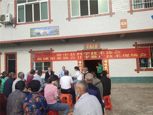 资中县科协组织开展甘平推广技术现场培训