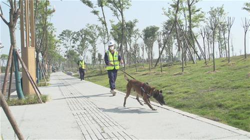 彭山区：“车犬联动” 快检 筑牢燃气安全防线