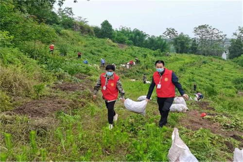 中心镇：“疫”路摘星，党员志愿者在行动