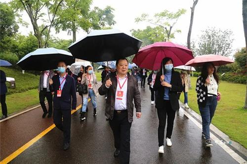 内江市市中区政协开展专题视察调研活动