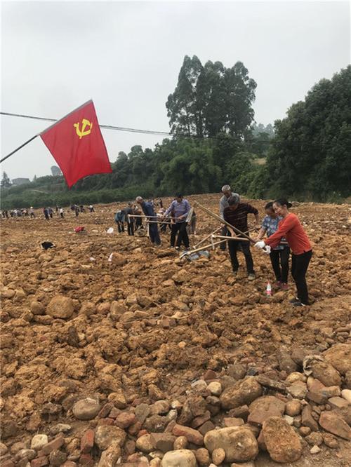 三苏村：20余年撂荒土  集体开垦变耕地