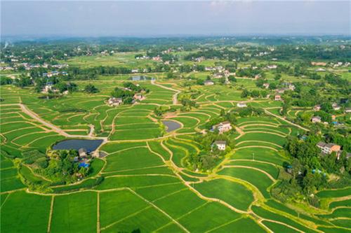 恒升镇：发展现代农业 赋能乡村振兴