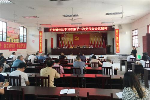护安镇认真传达学习省第十二次党代会精神