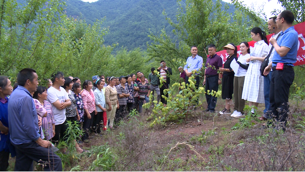 粟棠：情洒深山显初心 坚守奉献践使命