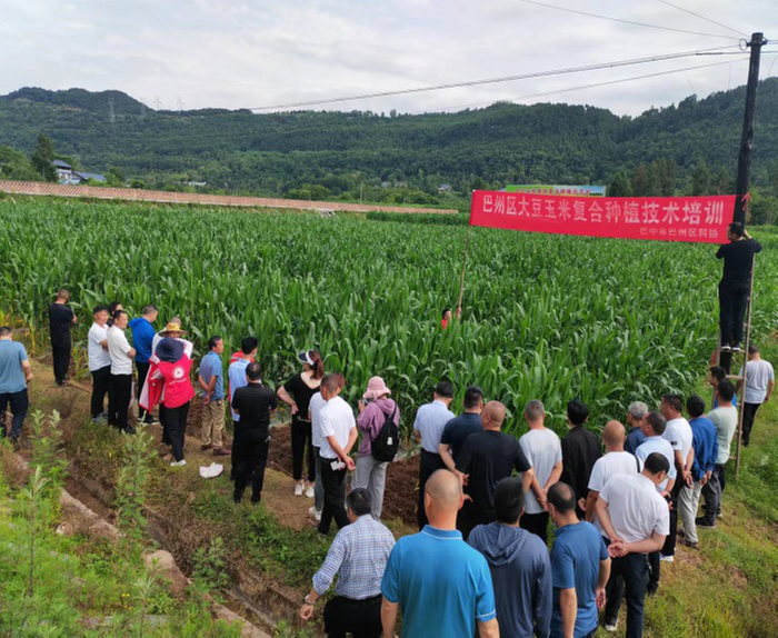 巴州区科协：坚持党建引领 助力乡村振兴