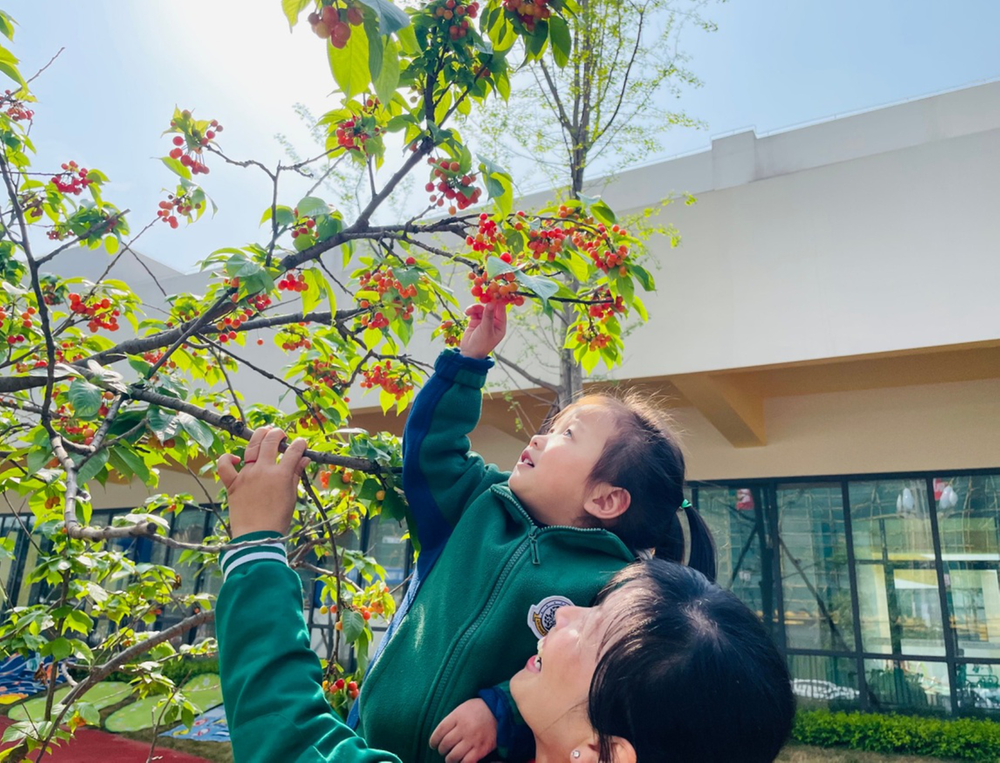 成实外繁懋教育：科学教学解决入园分离焦虑