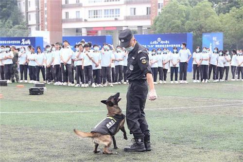 简阳职高开展“无毒简阳 向阳而生”禁毒教育宣传活动 