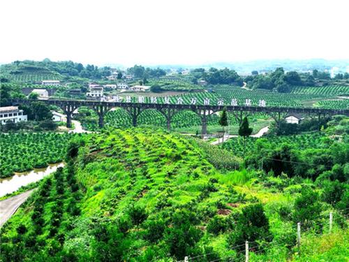 武胜县：巩固脱贫成果 助力乡村振兴