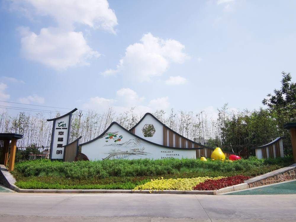 高明镇：以场镇“微更新”优环境强功能促民生