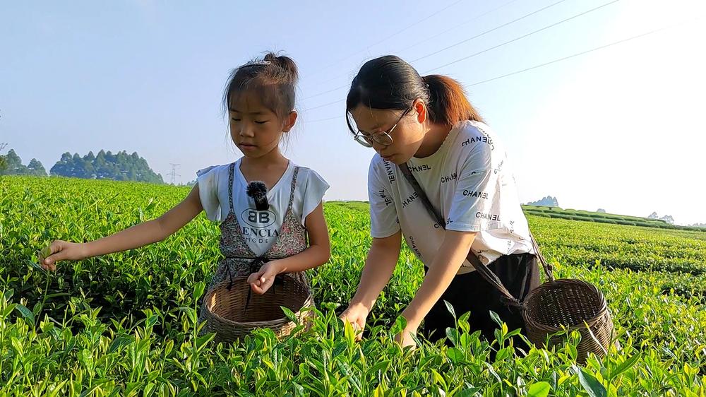 青神县：传承好家风 培养好品德