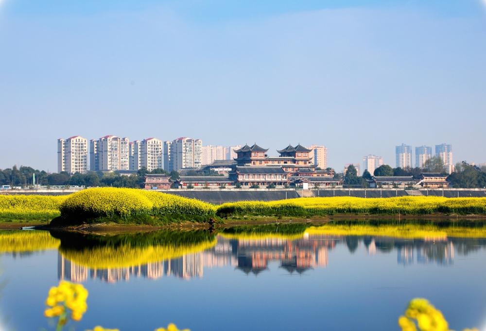 生态入框 青神入画 记录光影里的生态青神