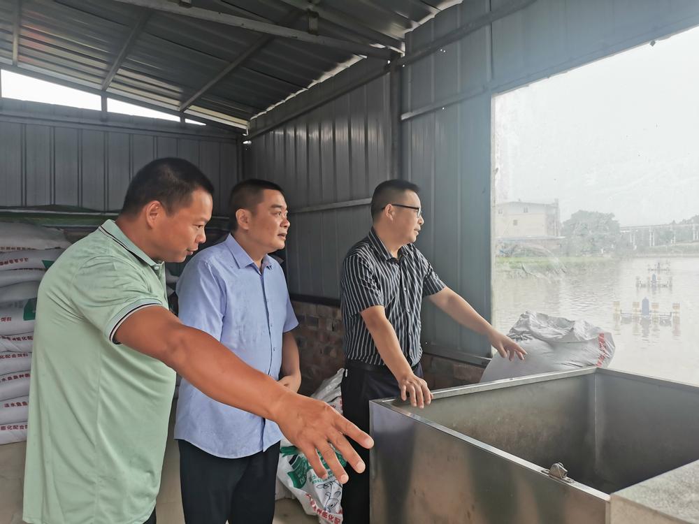 乐至县副县长罗旭调研科技养鱼集成技术