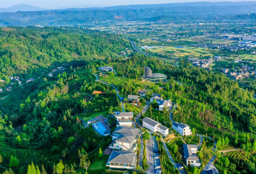 洪雅县青杠坪·茶客空间又添“新身份”