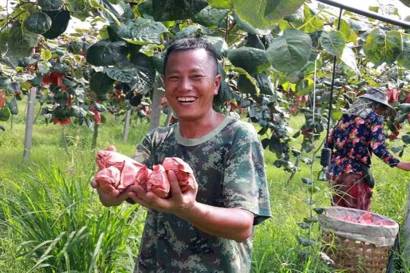 山祠村：特色水果挑起增收大梁