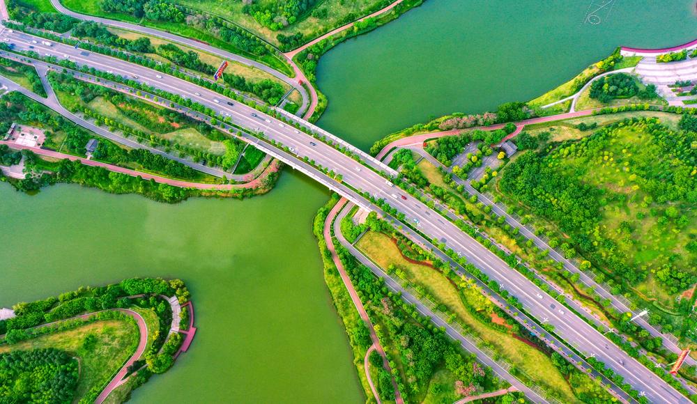 仁寿县：打造公园城市 绘就宜居画卷 