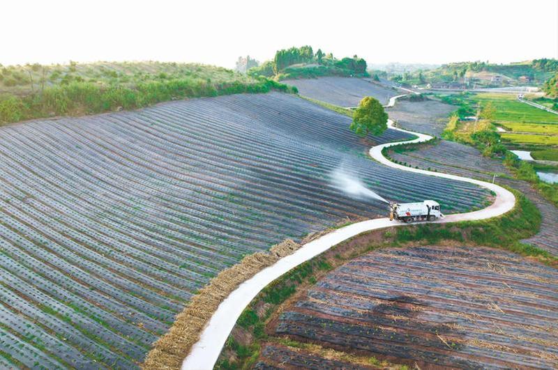 齐力抗旱 为农田“解渴”