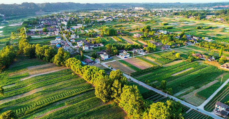 青神县：文明绘就幸福底色