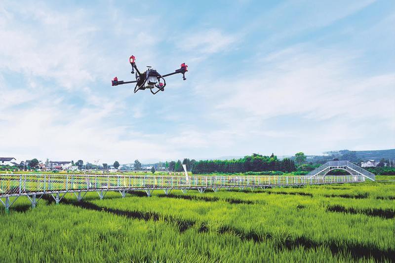 科学管田保丰收