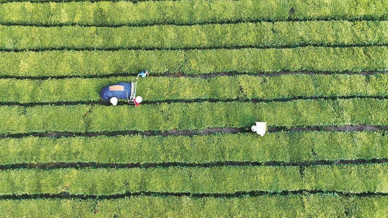 仁寿县：退役军人返乡创业建功“新战场”