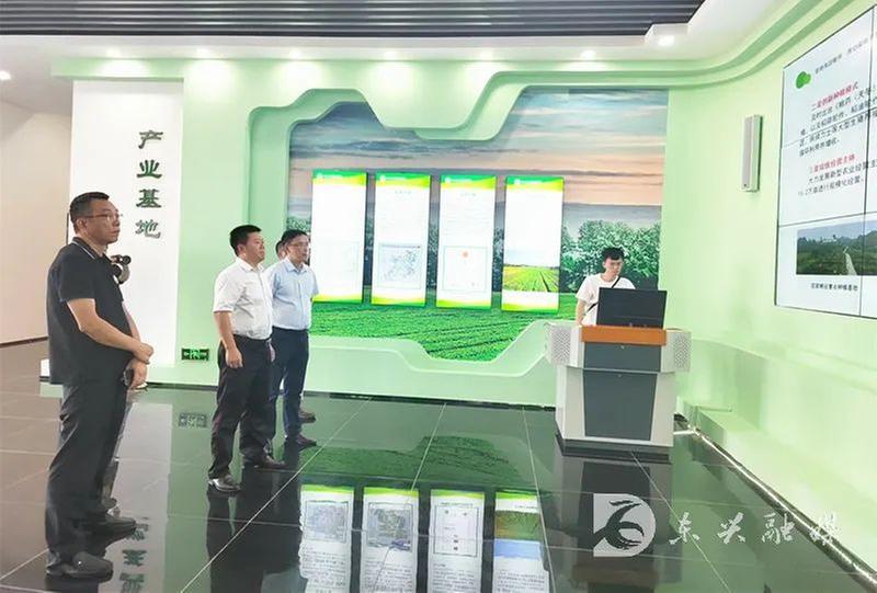 东兴区：立足特色，抓好项目投资，加快产业振兴