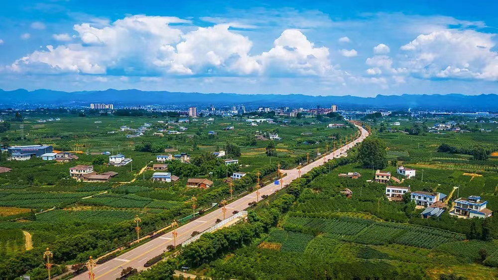 丹棱县：以生态环境高水平保护推动县域经济高质量发展