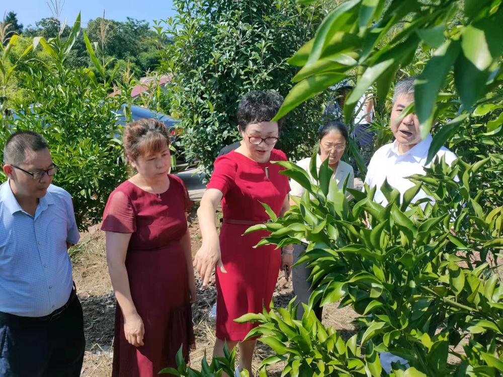 省纪委监委驻科技厅纪检检察组赴乐至考察省级农业科技示范园区建设工作