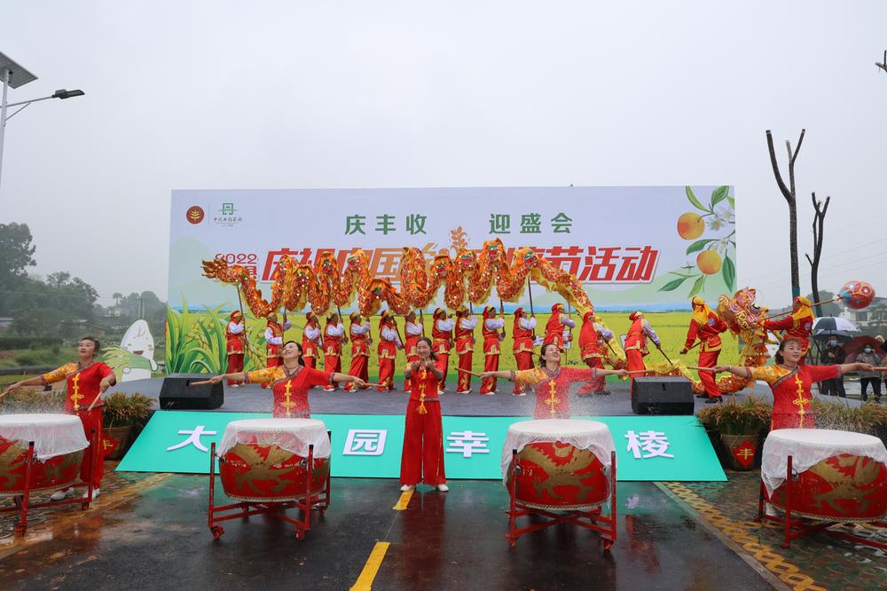 丹棱县：最是一年好“丰”景 稻谷飘香庆丰收