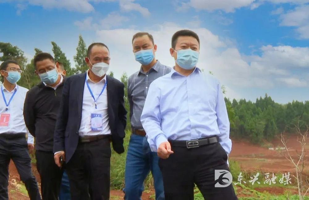 争分夺秒 东兴区全力以赴抢抓农业恢复生产