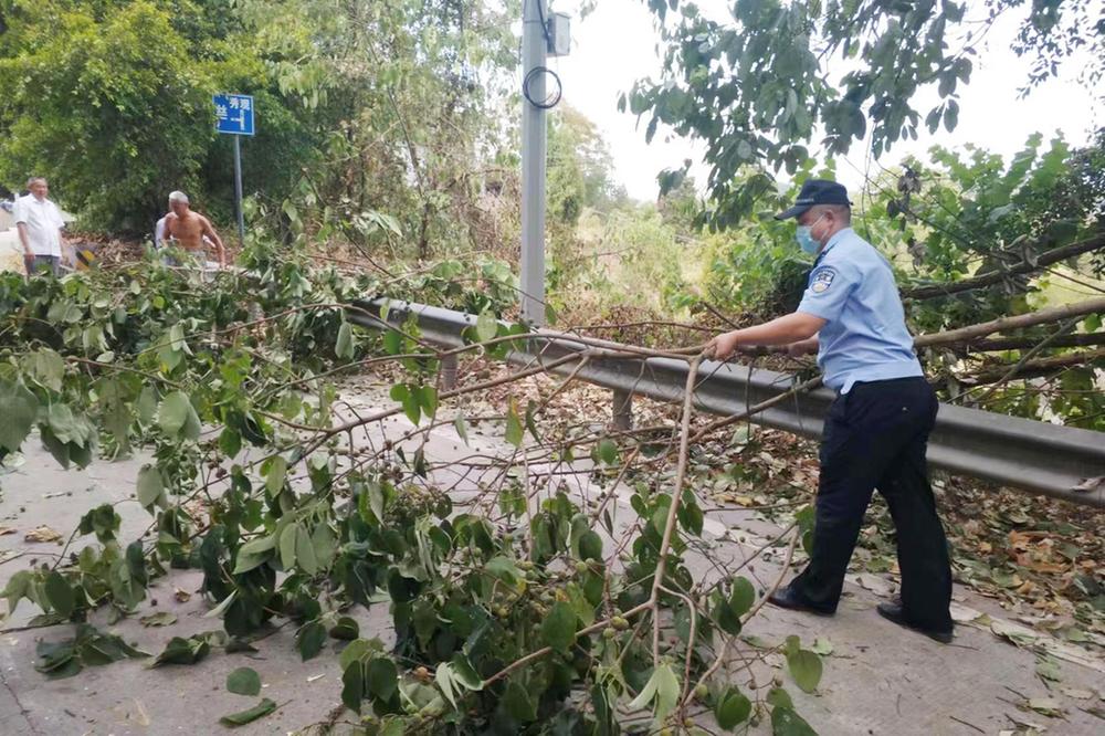 树木倾倒阻拦道路 武胜警民携手清理保畅通