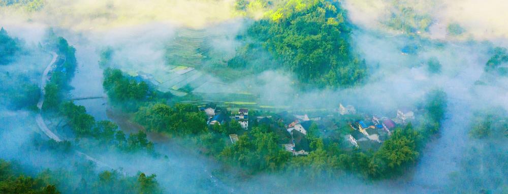 “功夫熊猫”走红网络