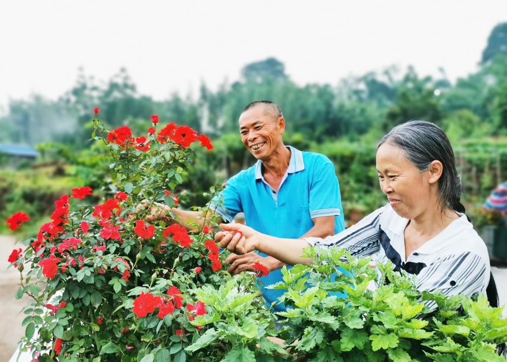 青神县：全域推进农村人居环境整治 美丽竹乡有里有面